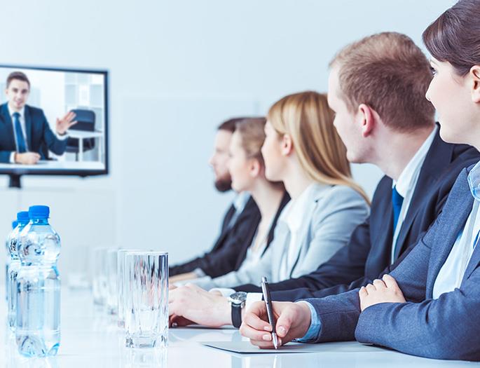 Network video conference visualization system.jpg